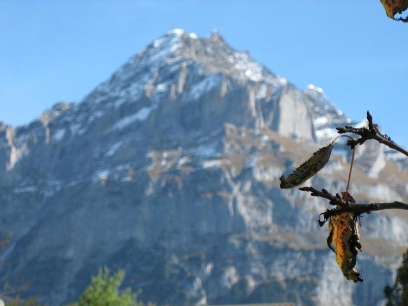 Hotel Gletschertal Гриндельвальд Экстерьер фото
